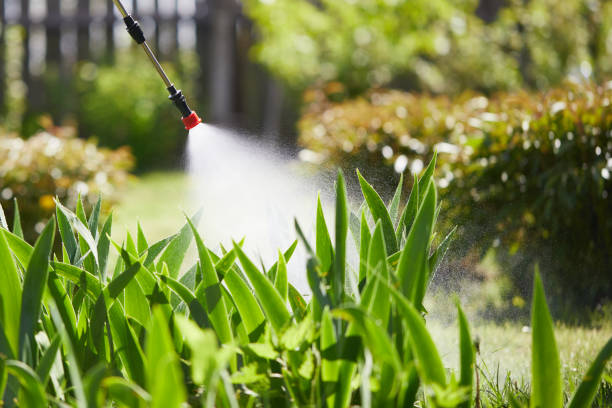 24/7 Emergency Mosquito Control experts in Lithia Springs, GA