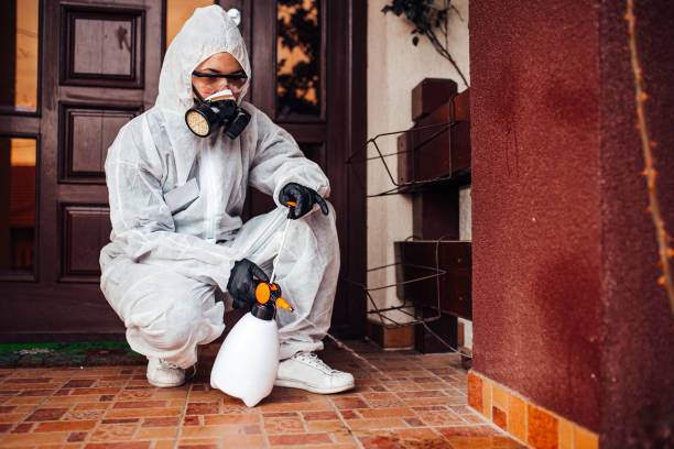 Reliable Mosquito Control contractor in Lithia Springs, GA by Nex Pest Control